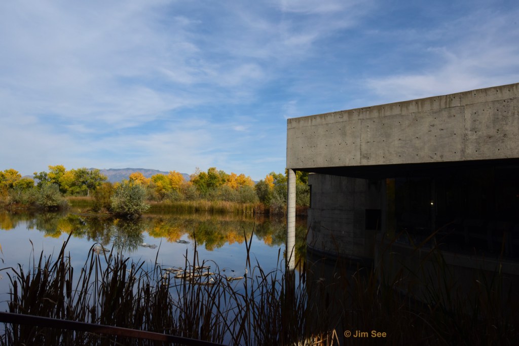 Rio Grande Nature Center and&nbsp;Preserve