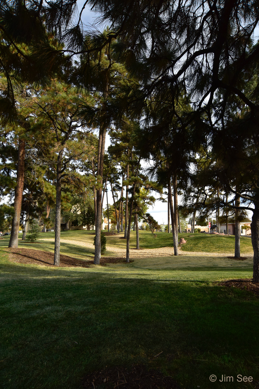 Image #3 Tight's Grove_DSC3676